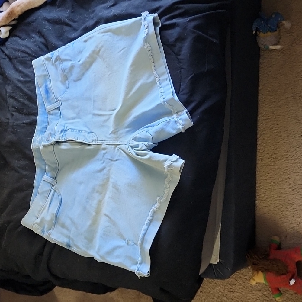 Terra & Sky Denim Shorts